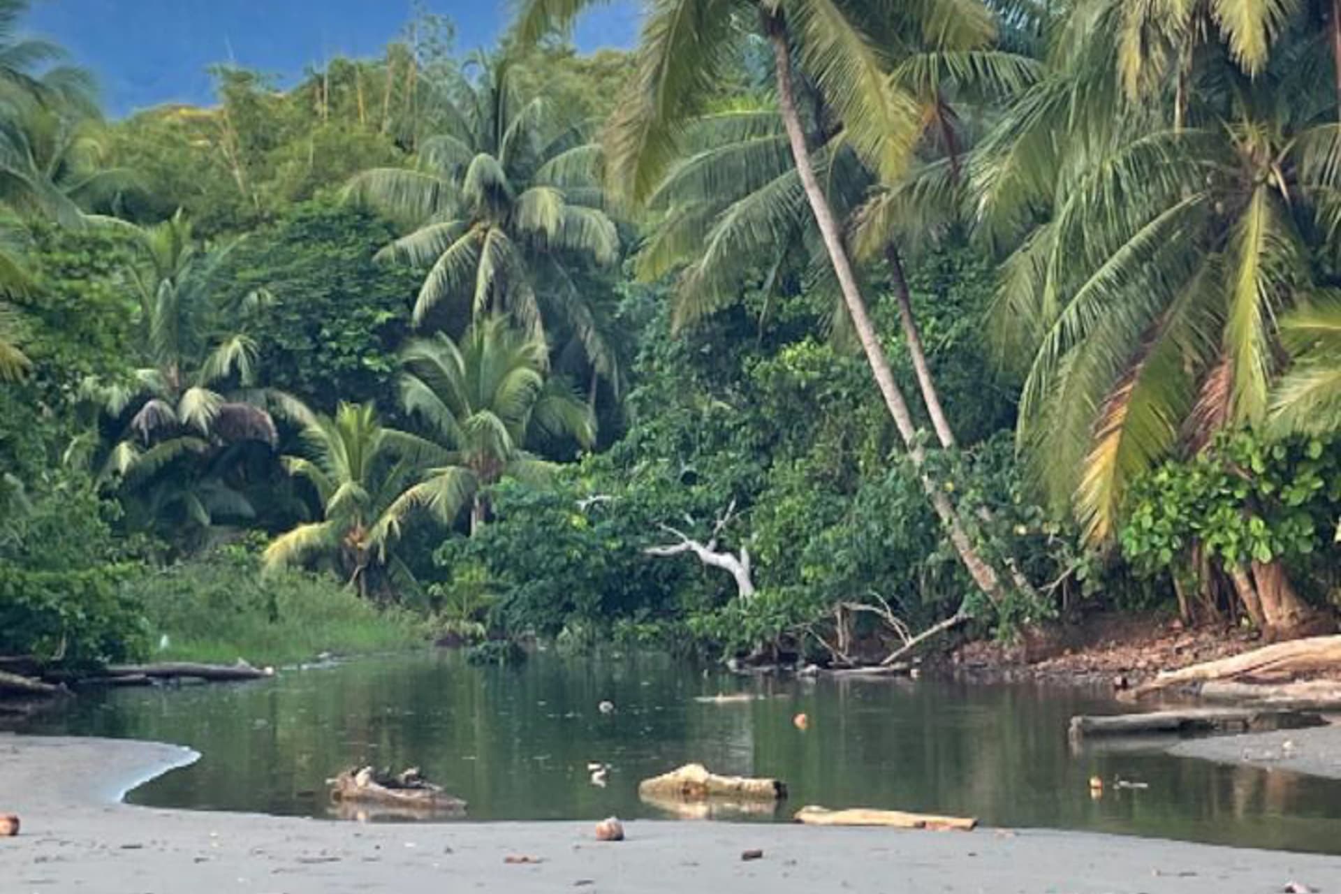 Casa Ballena Pearl - Image 35