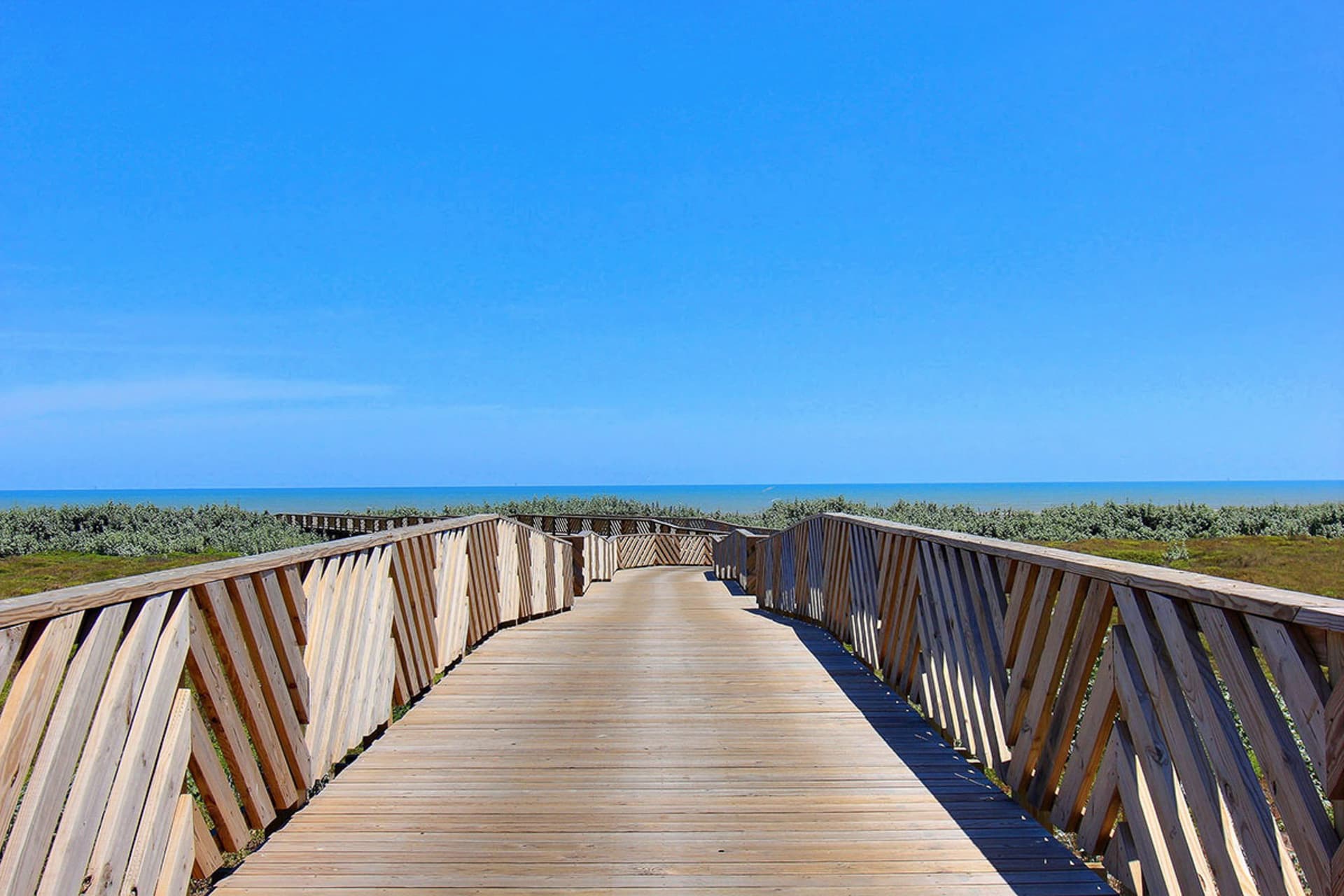 Vida del Mar - Image 32