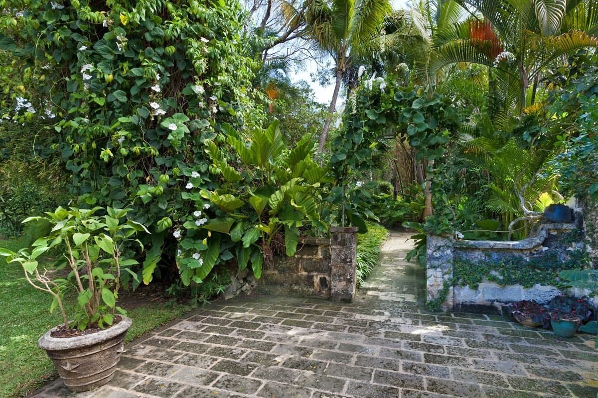 Wisteria Manor - Image 23