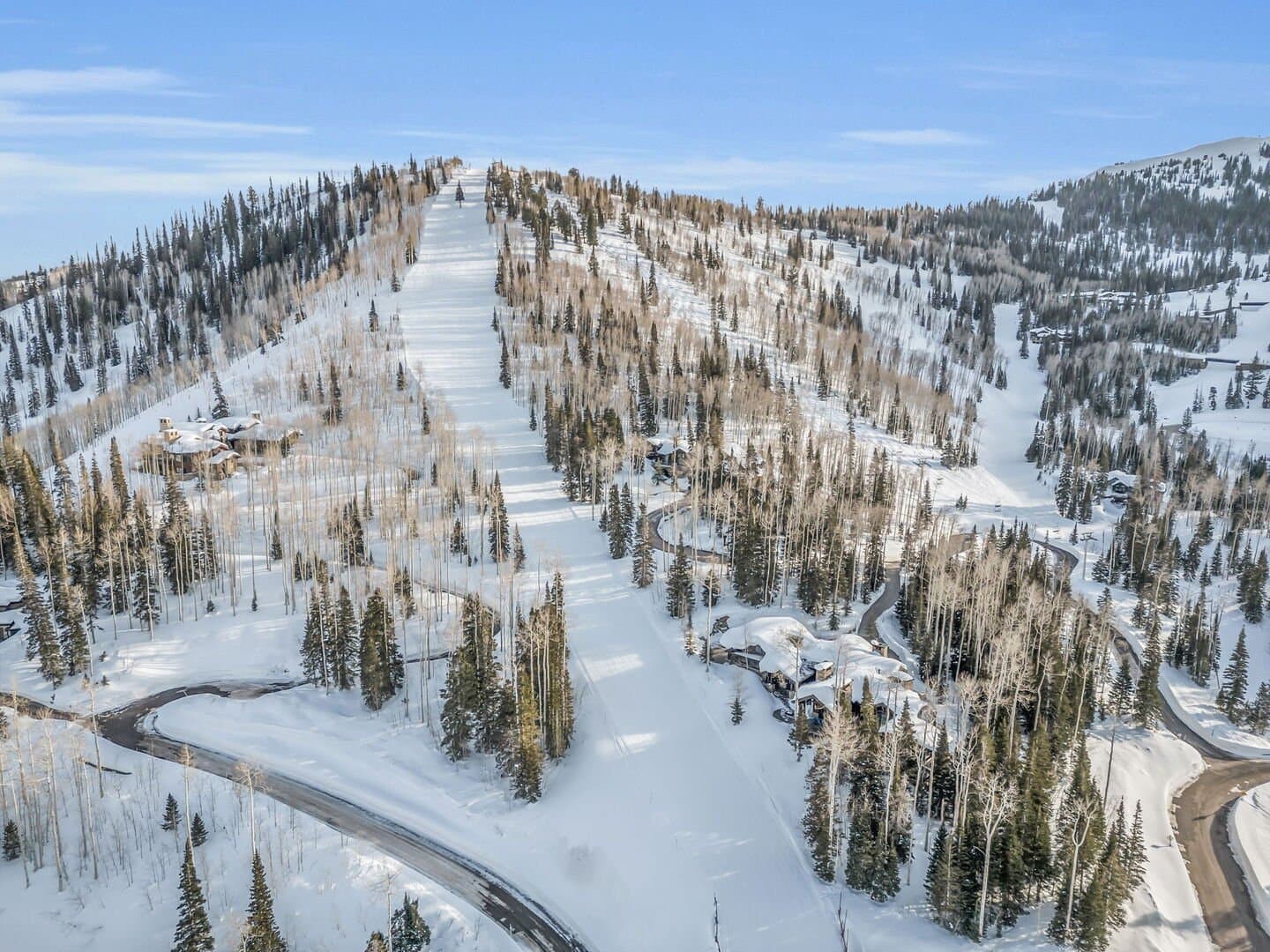 Snow Meadow Villa - Image 56