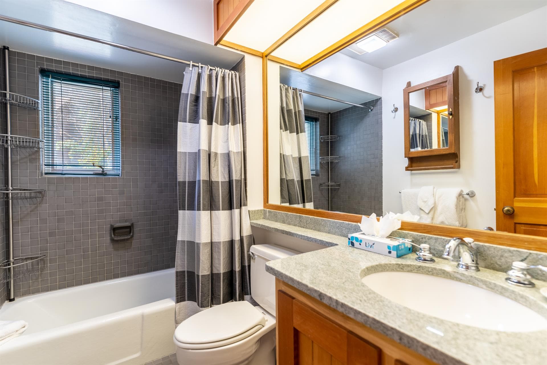 Soda Springs - Image 24