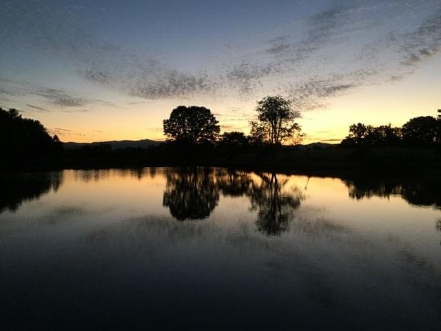 Innisfree Farm - Image 57