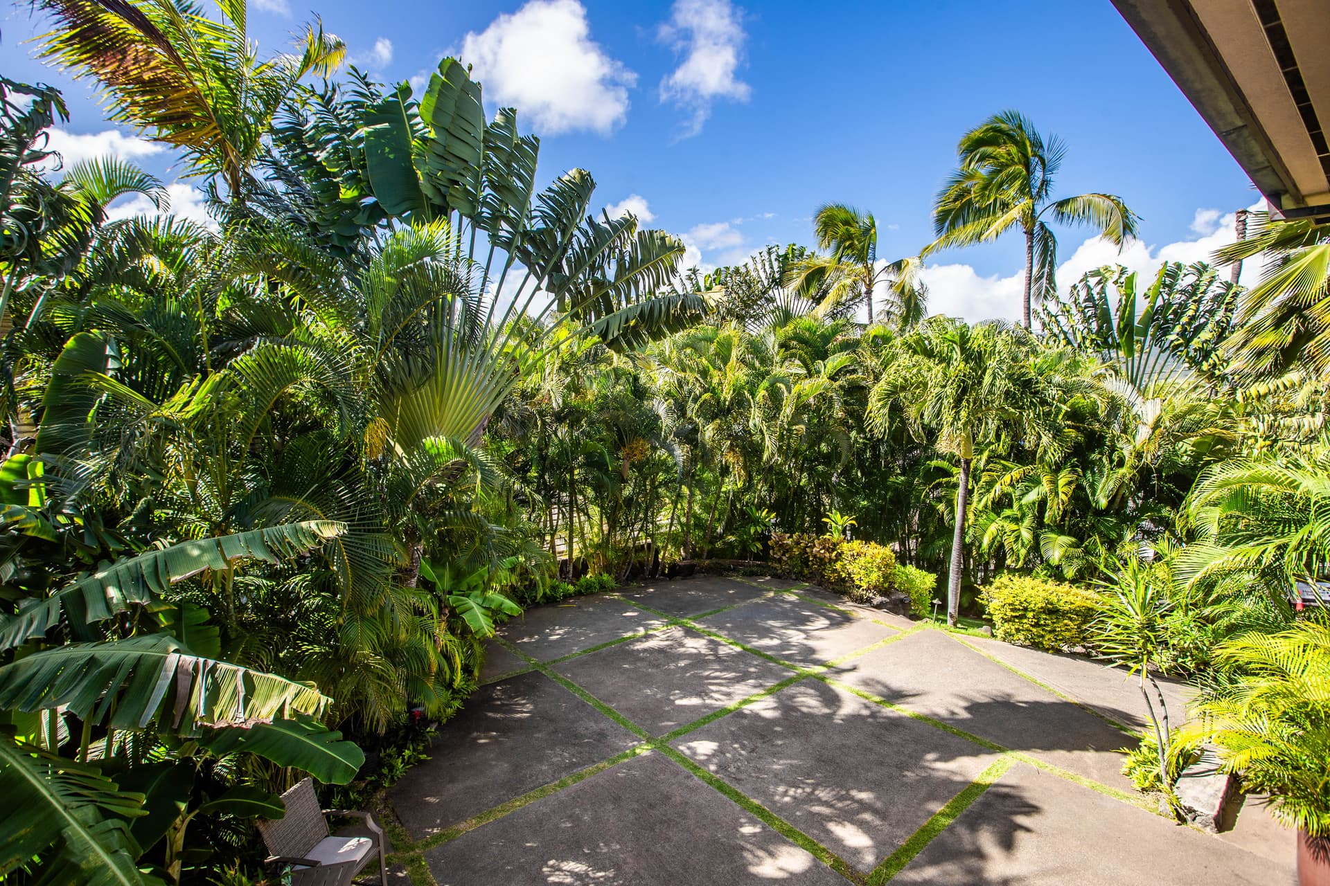 Pili Pono - Image 101