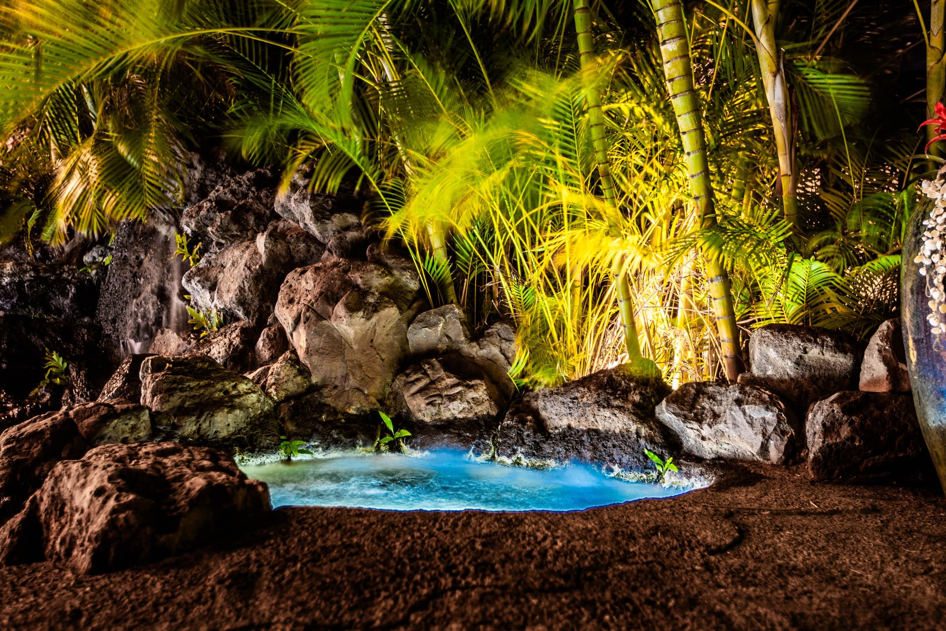 Pili Pono - Image 130