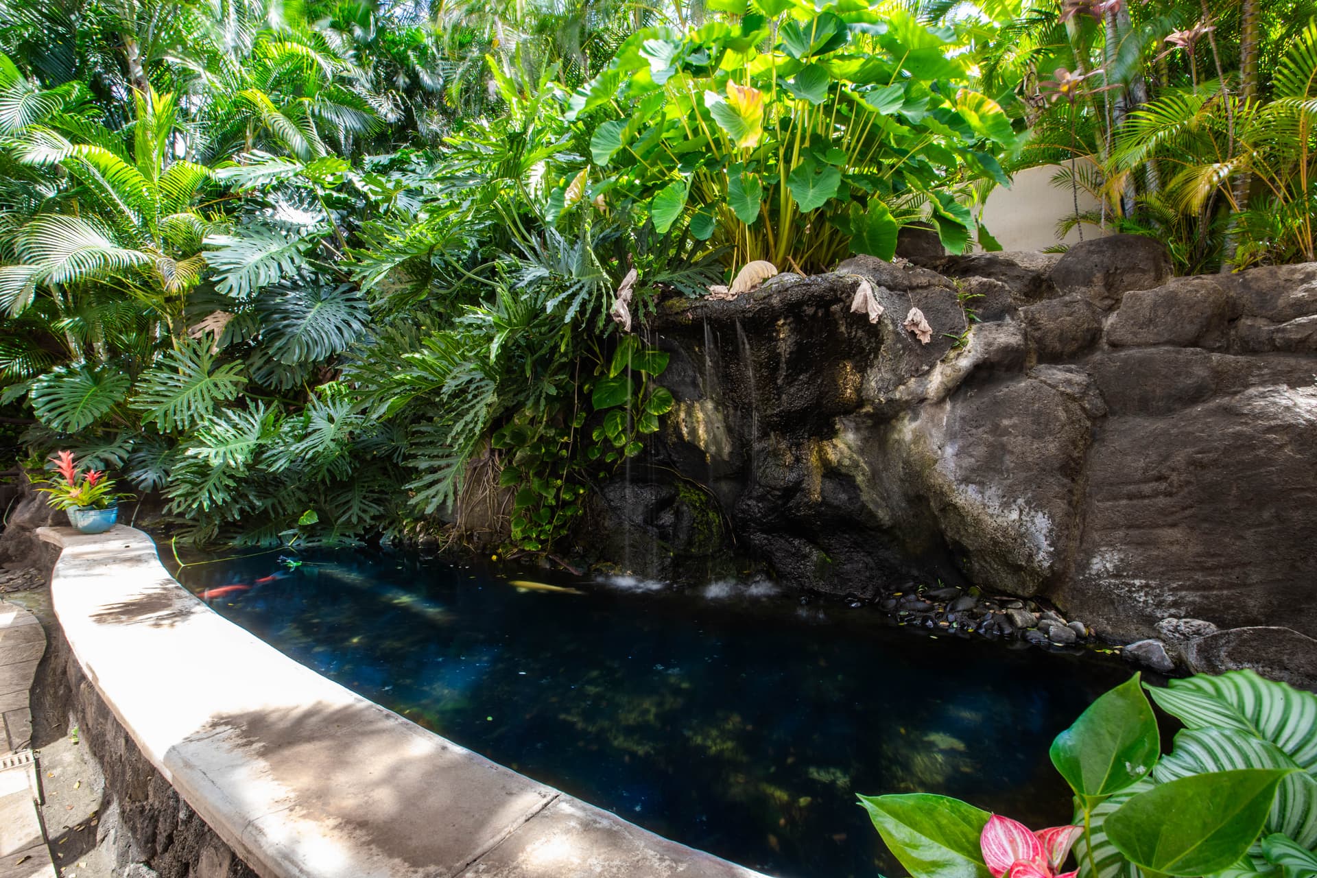 Pili Pono - Image 85