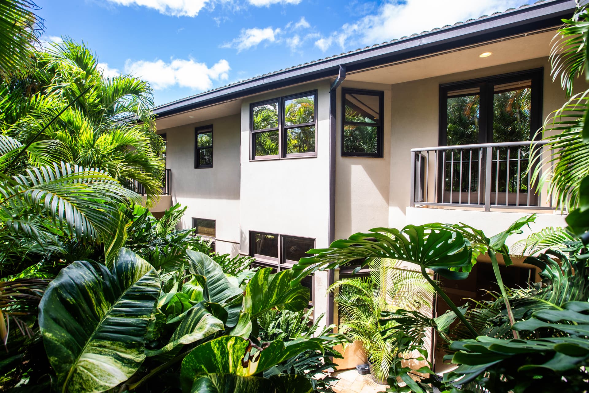 Pili Pono - Image 89