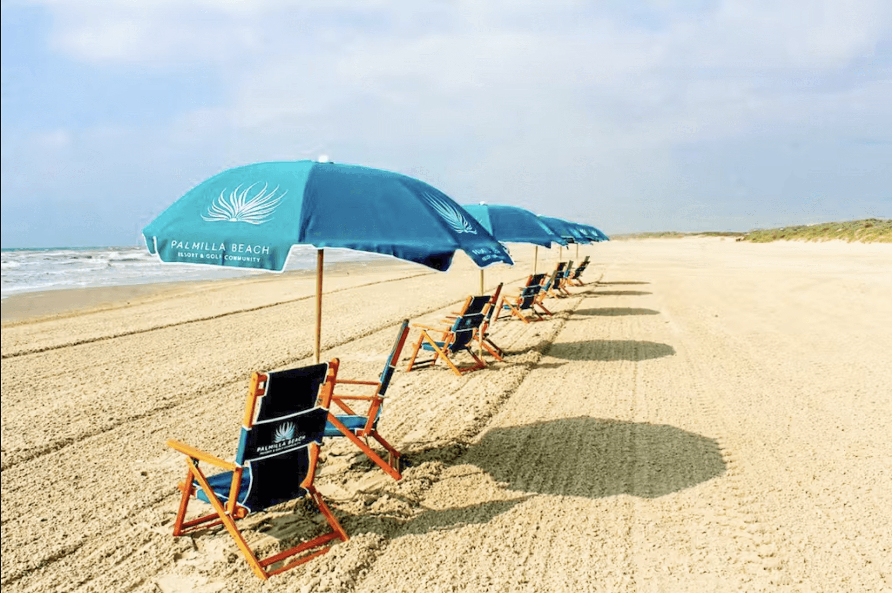 Wild Octopus Home - Image 34