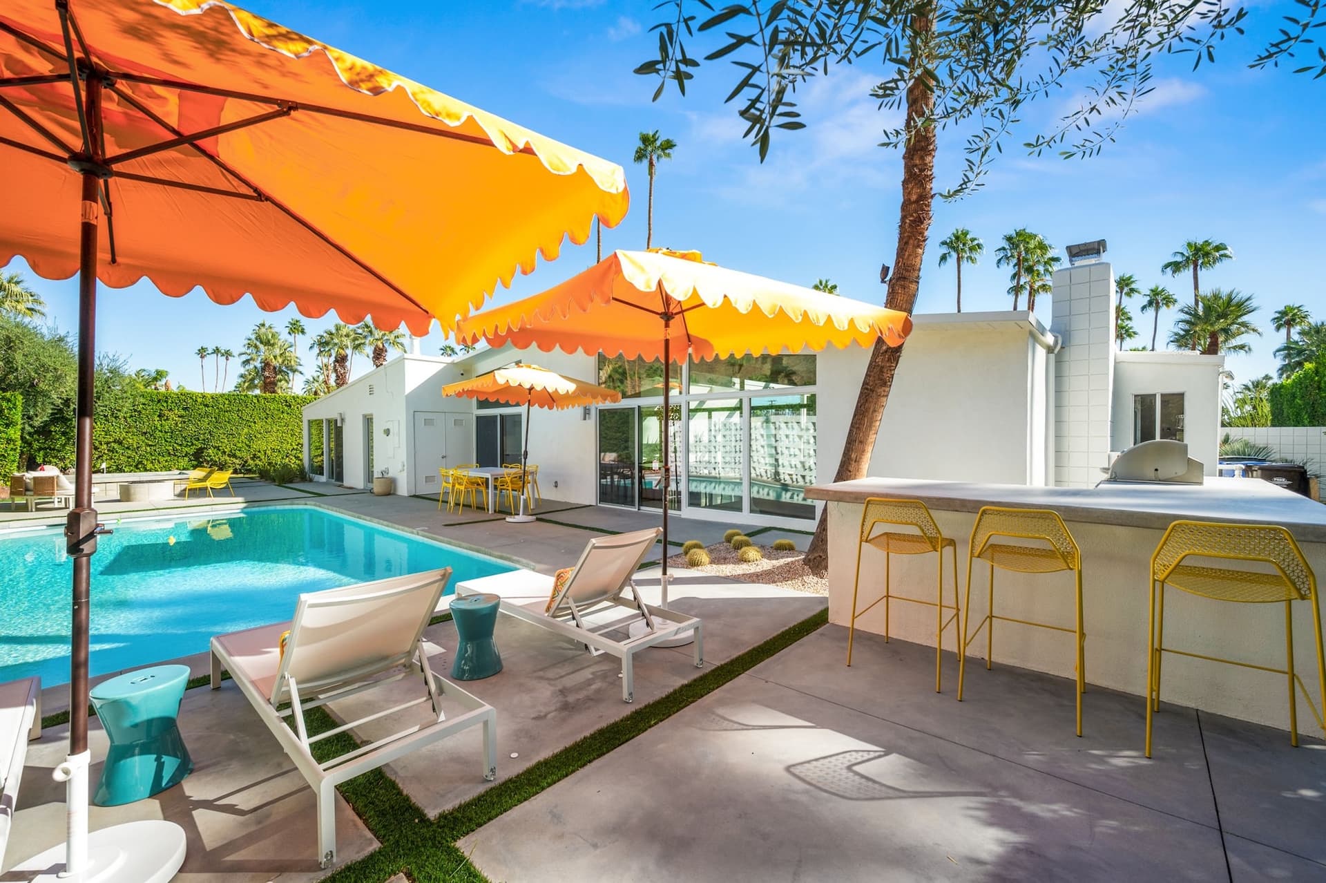 Playfair Palms - Image 15