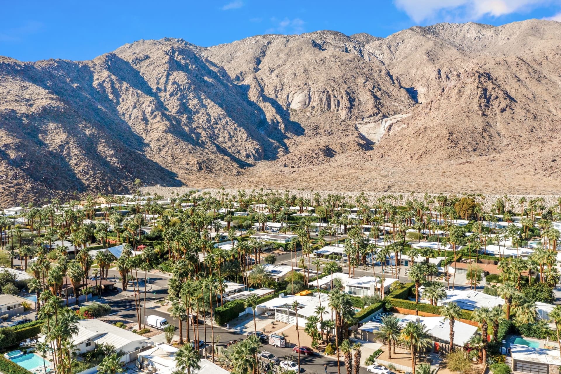 Playfair Palms - Image 3