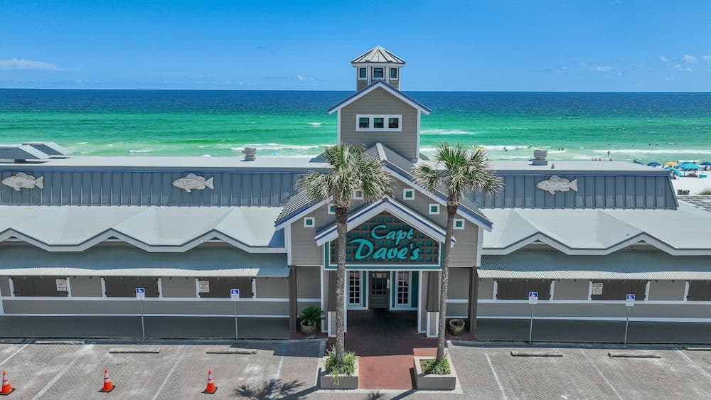 Pointe of View - Image 49