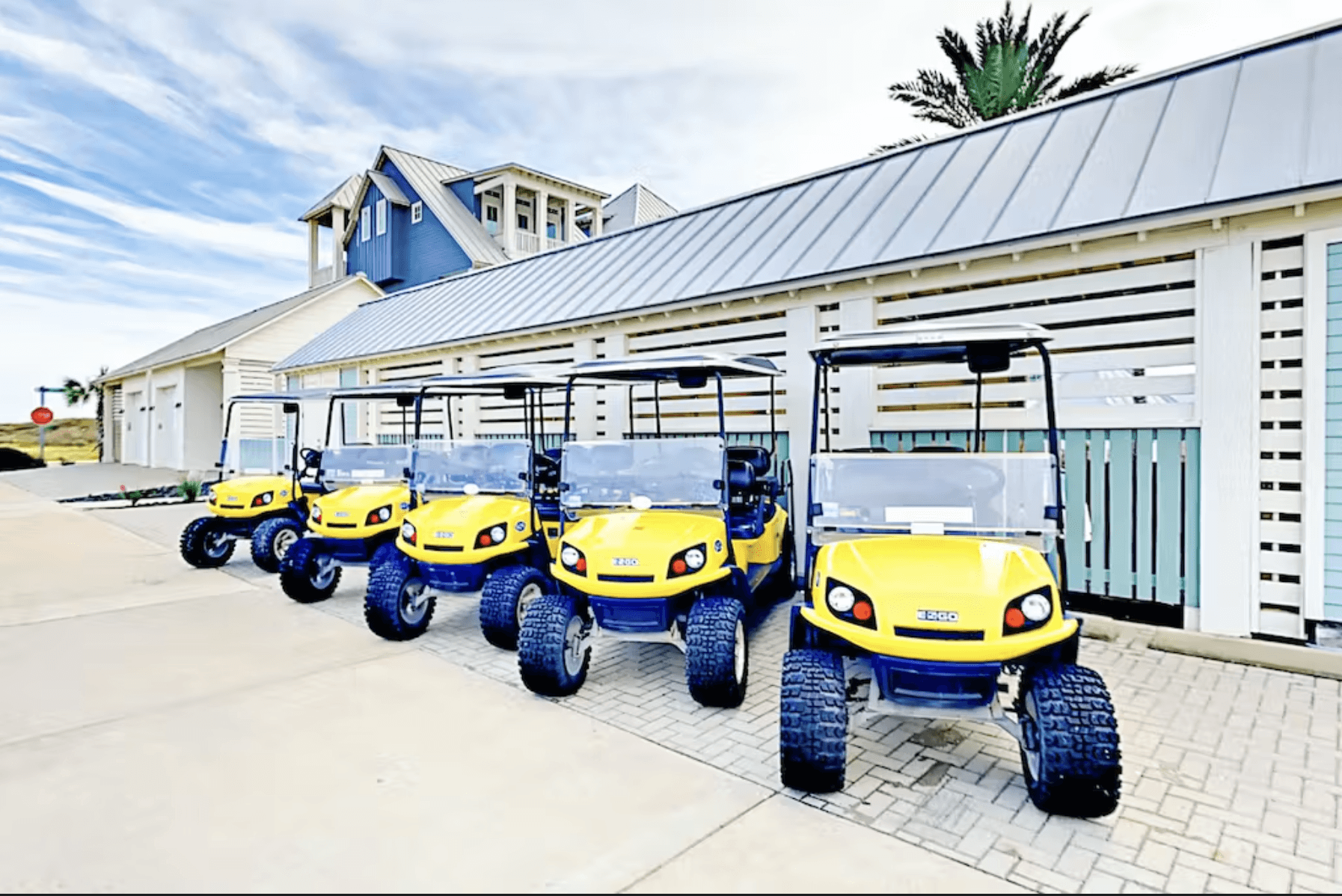 Wild Octopus Home - Image 31