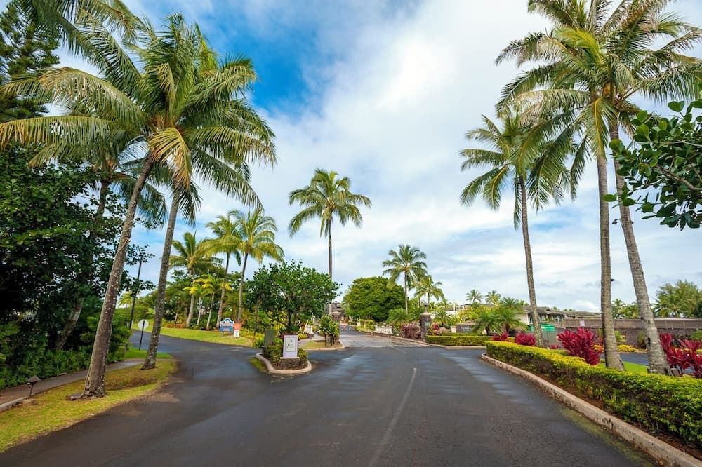 Puamana #16B - Image 24