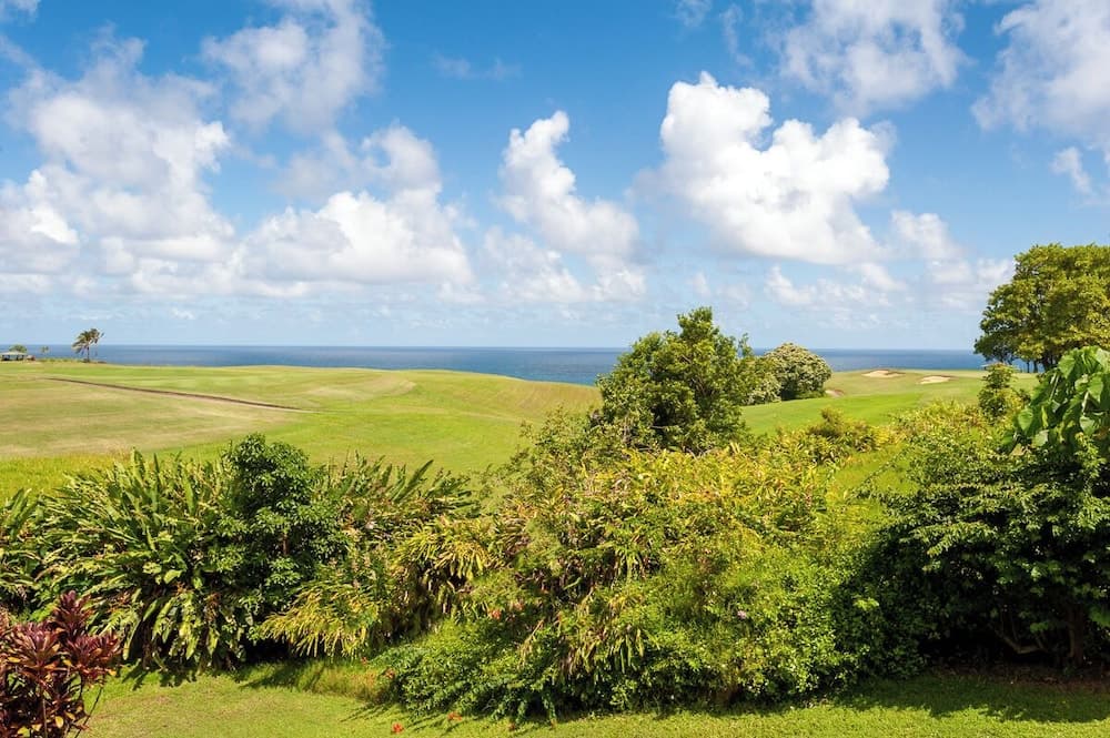 Puamana #16B - Image 25