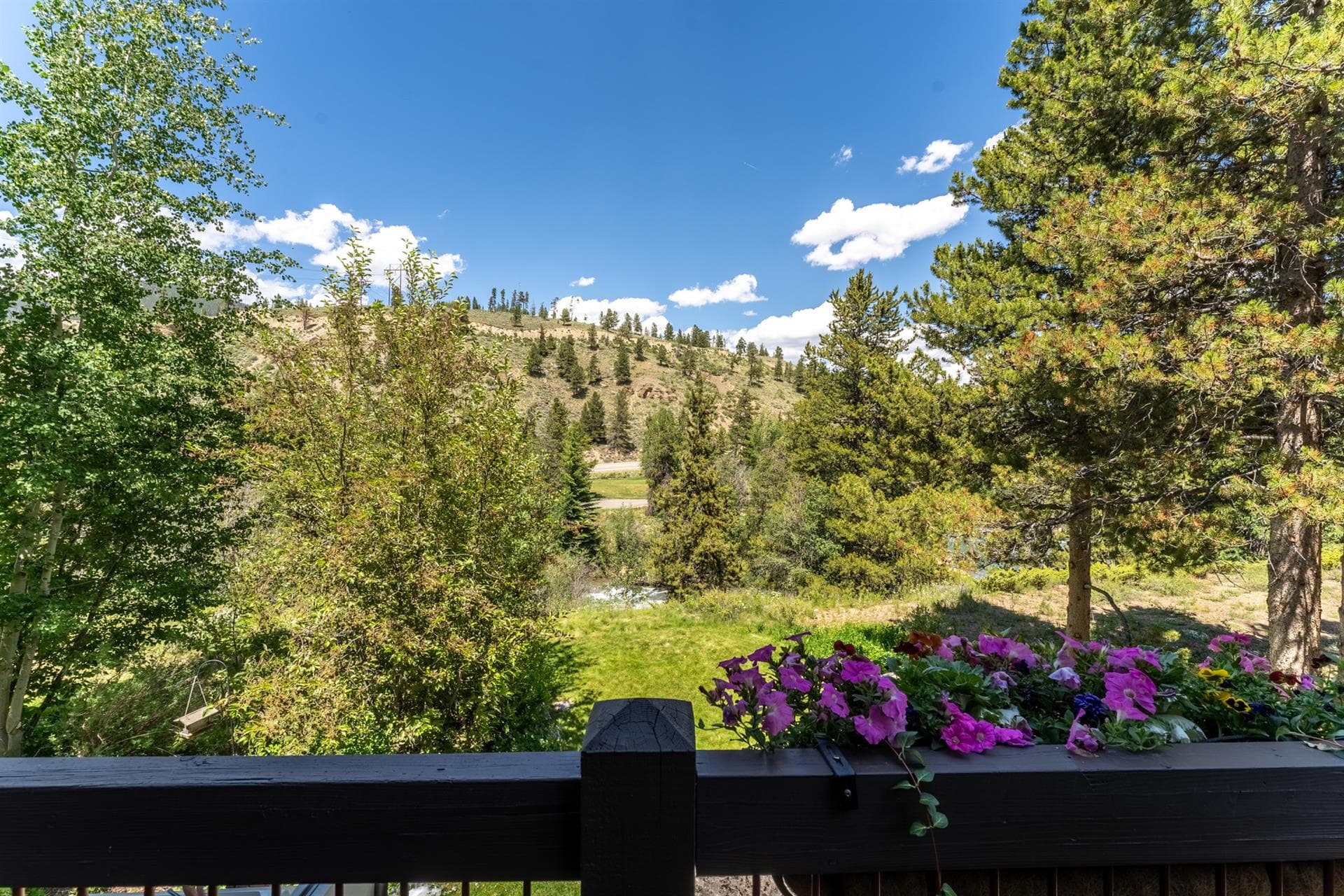 Elk Circle - Image 17