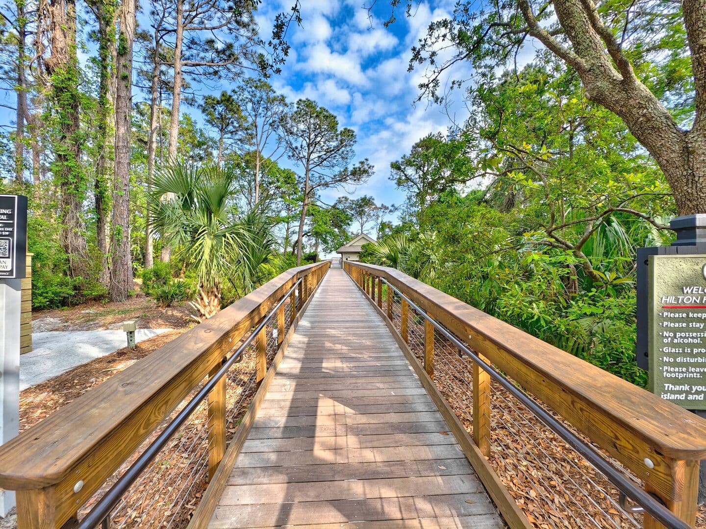 Turtle Tides - Image 70