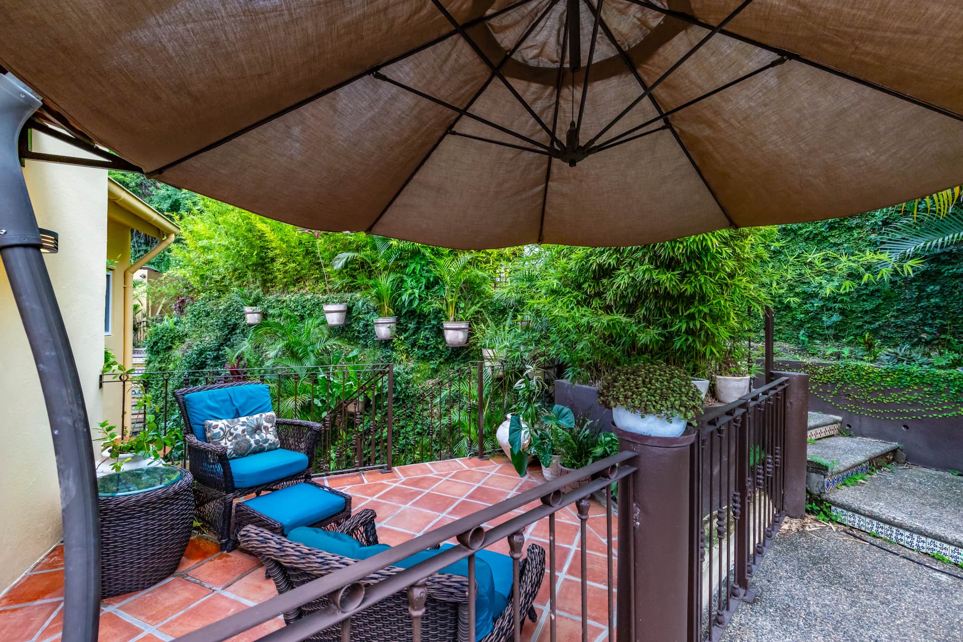 Sunset Serenity - Image 46