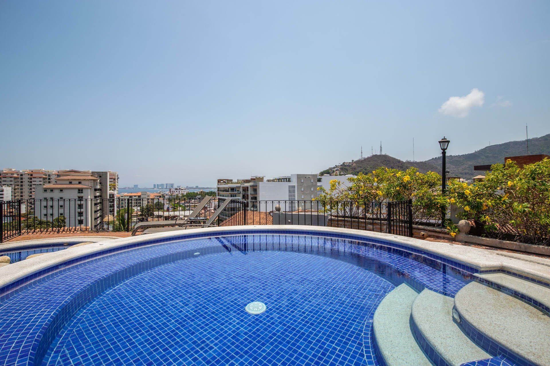 Driftwood Dream - Image 2