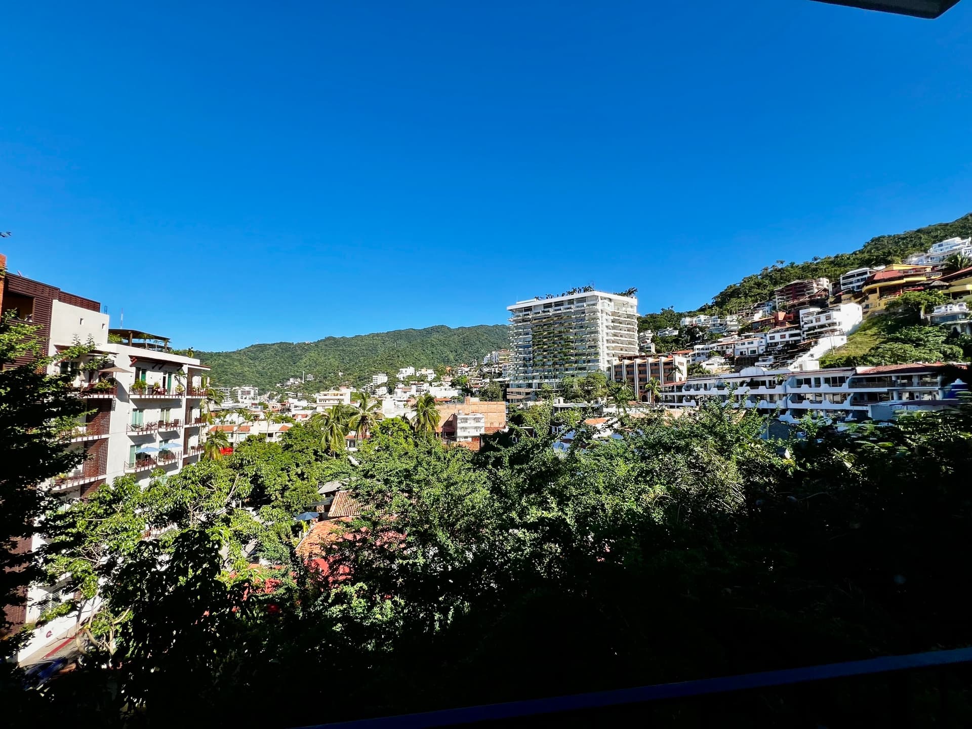 Driftwood Dream - Image 35