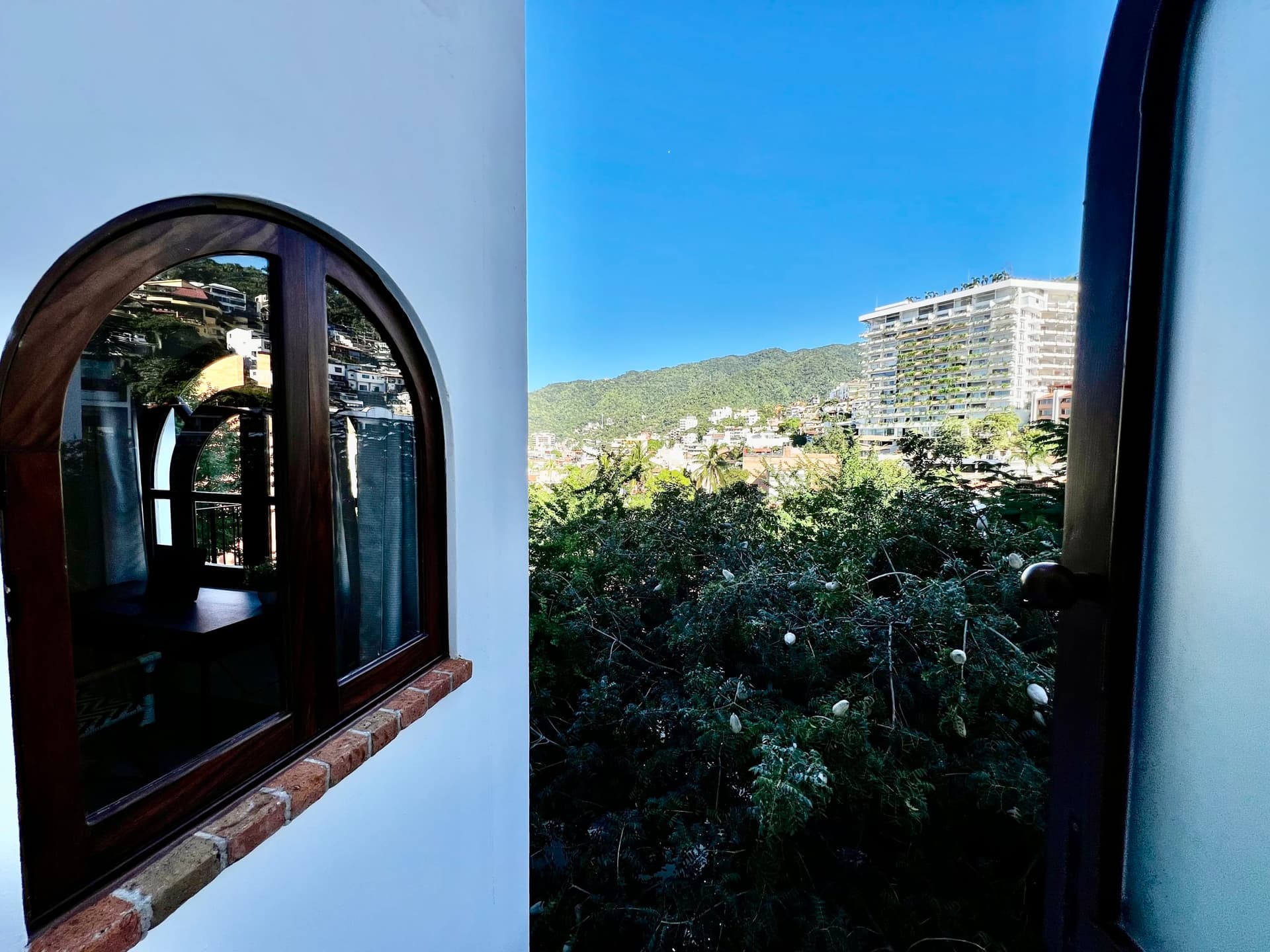 Driftwood Dream - Image 41