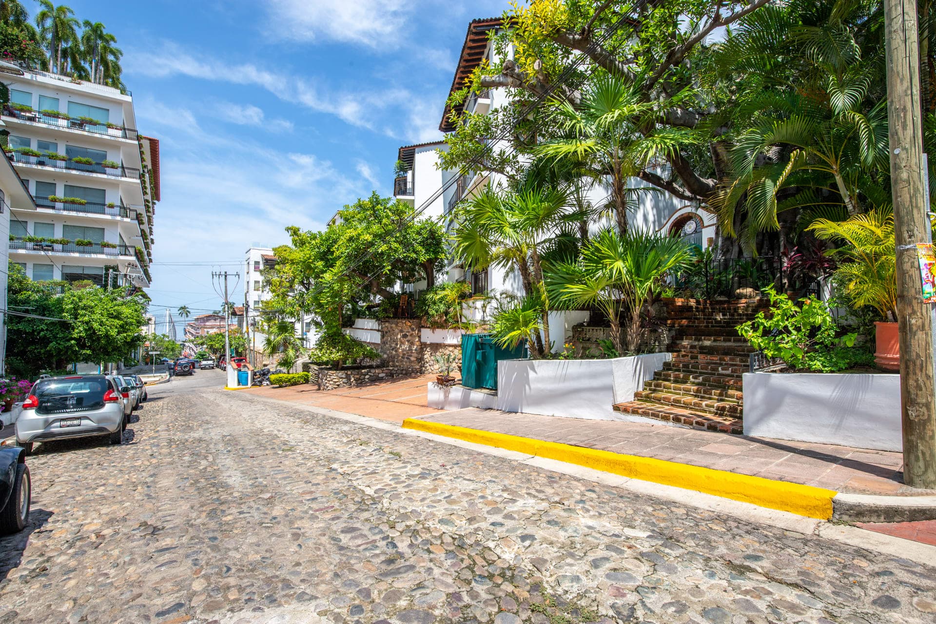 Driftwood Dream - Image 47