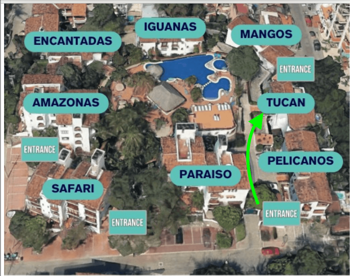 Driftwood Dream - Image 50