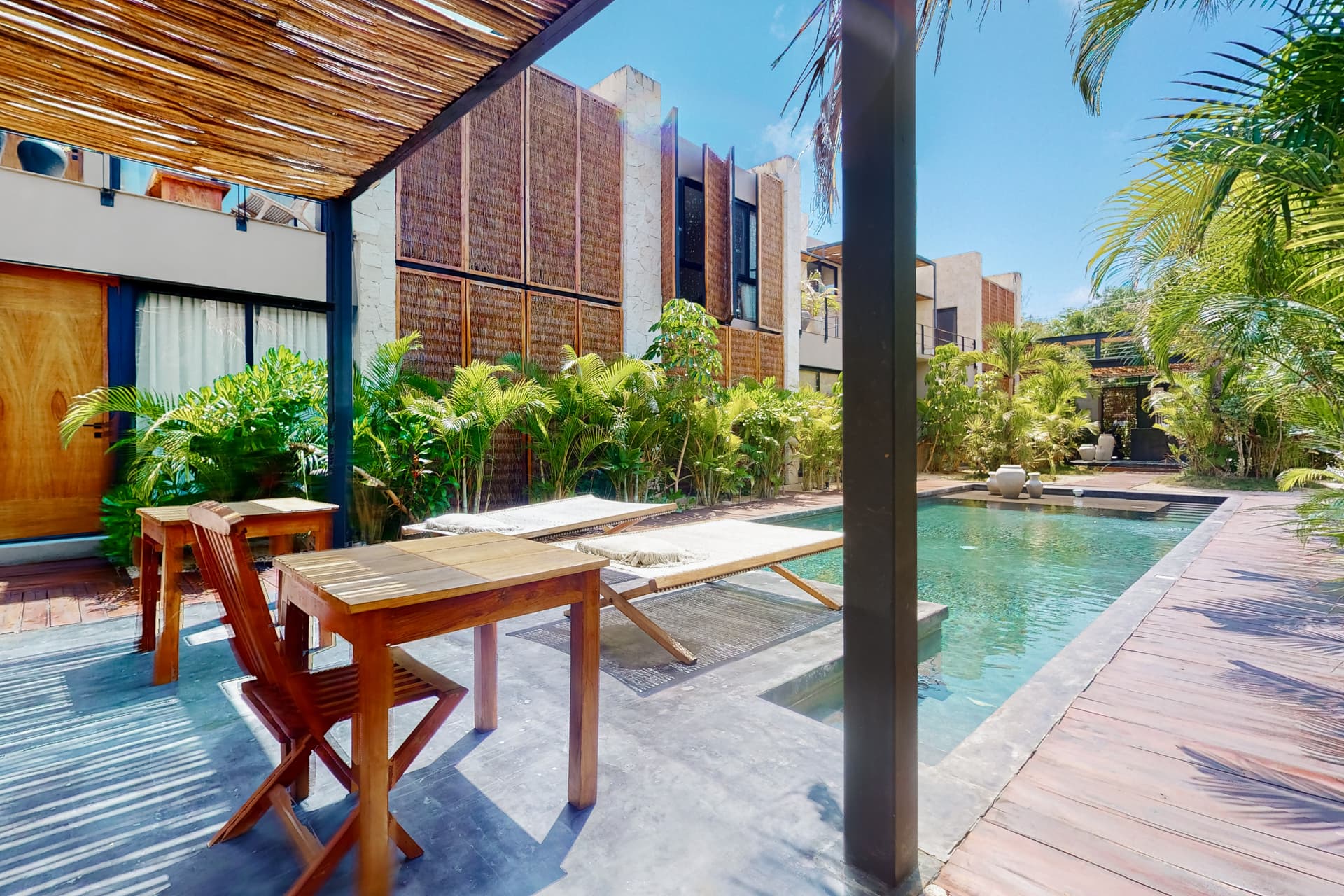 Fronds and Sun - Image 3