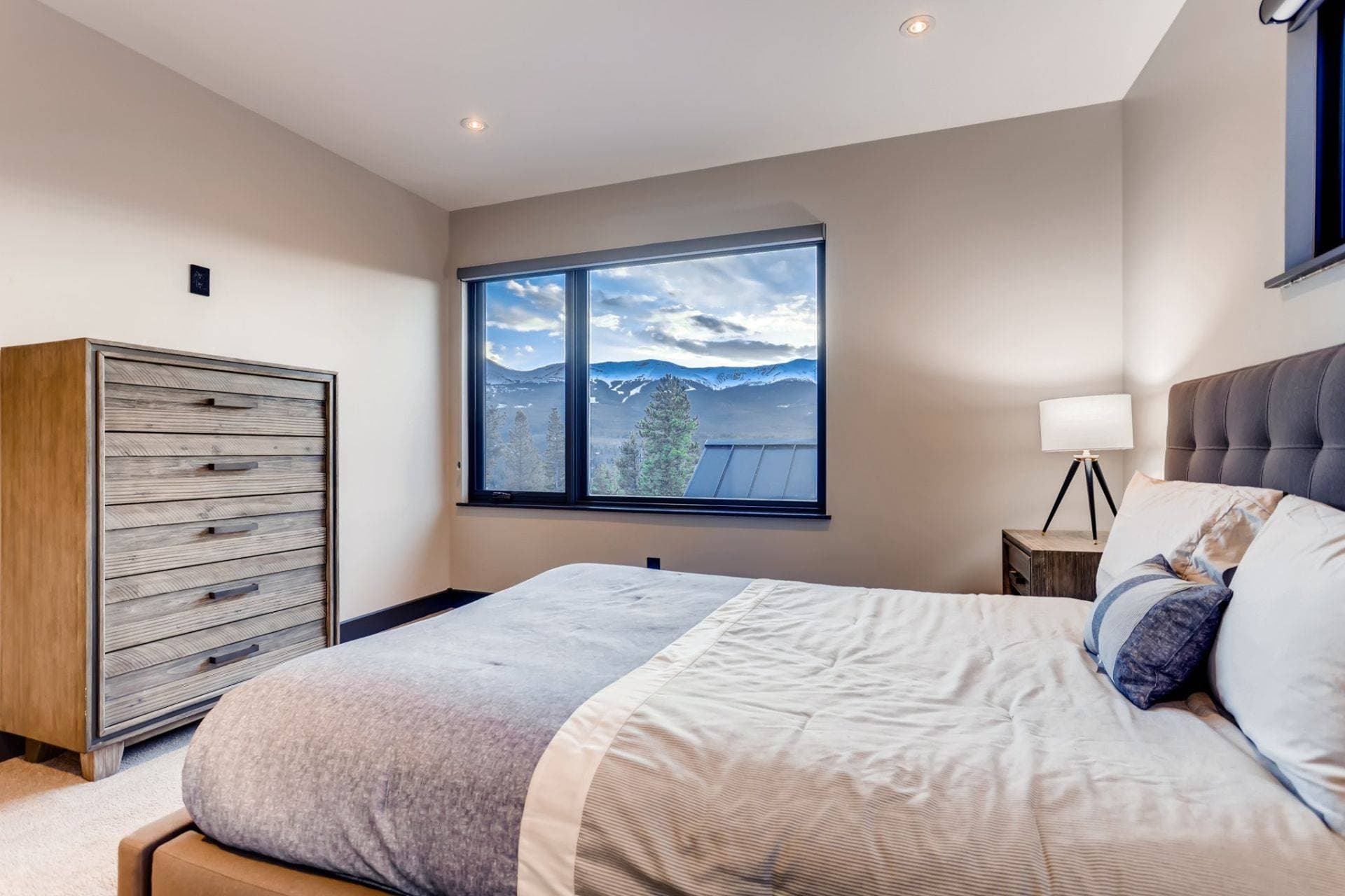 Bearadise Forest - Image 16