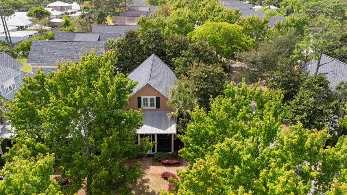 Coral Starfish - Image 32