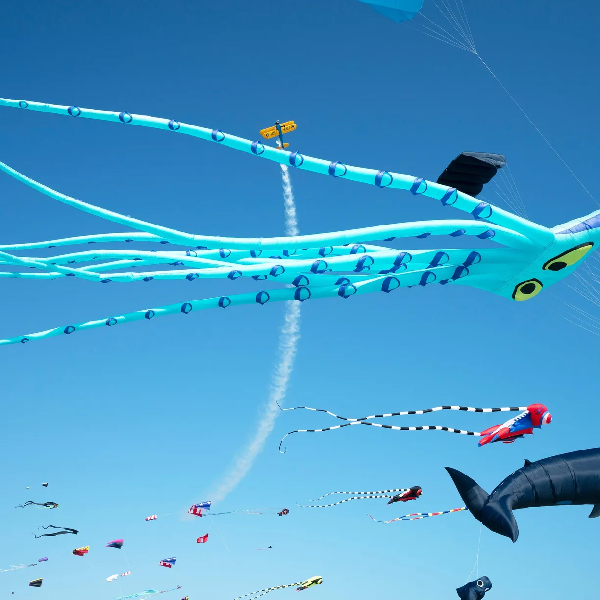 Swinging Easy - Image 40