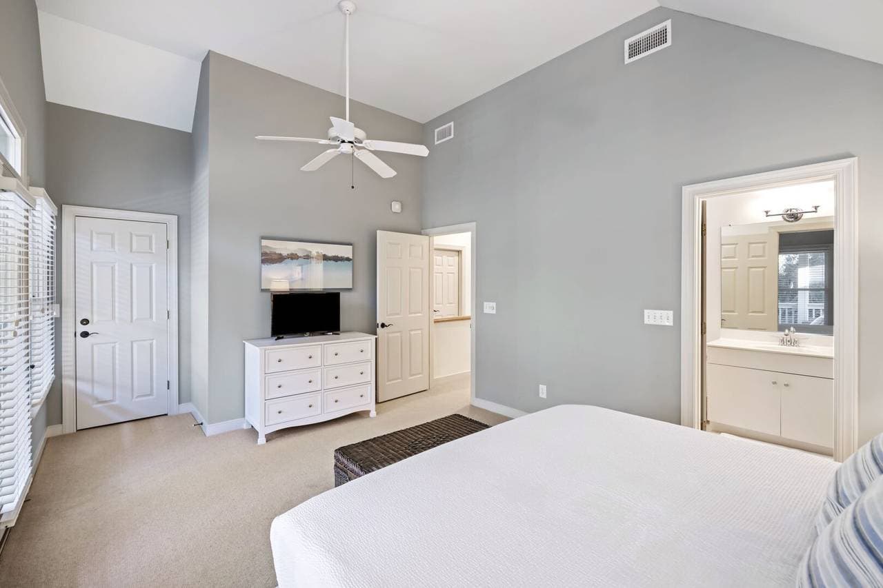 Silver Moss - Image 17