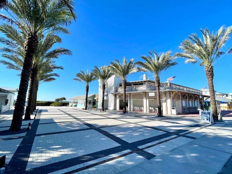 Sea Sabella - Image 45