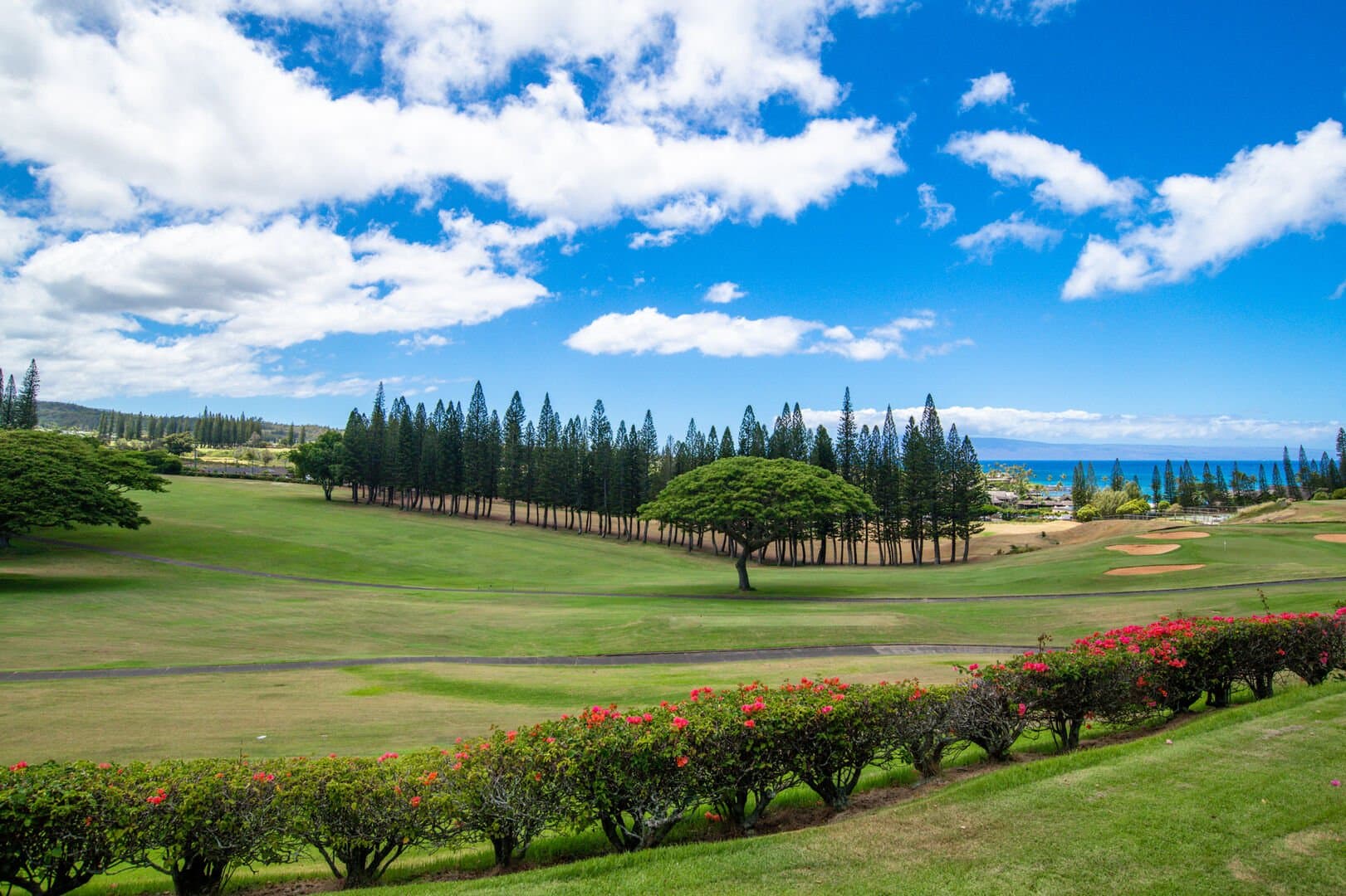 Kapalua Golf Villas #11P 5-6 - Image 28