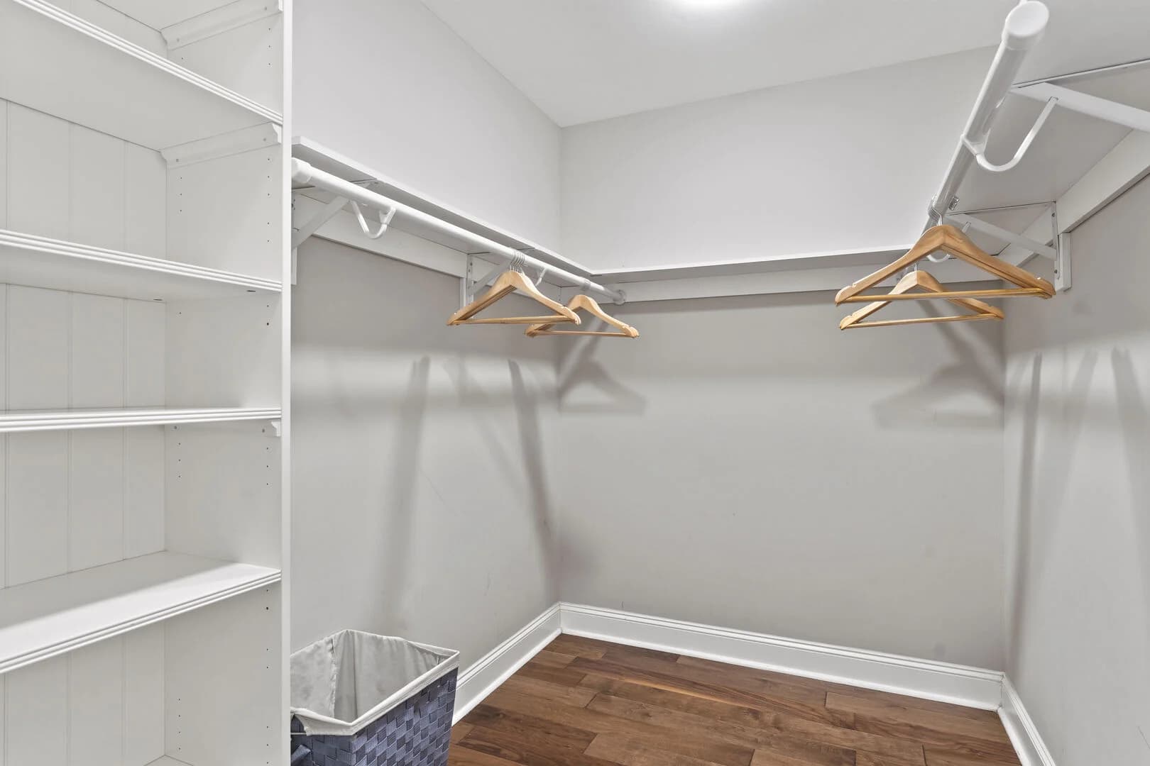 Sweet Carolina - Image 11