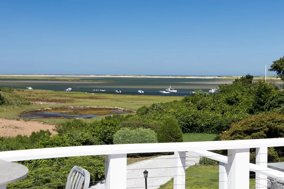 White Crest - Image 4