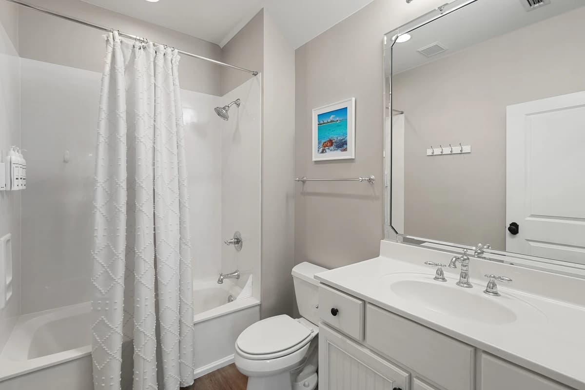 Coral Starfish - Image 20