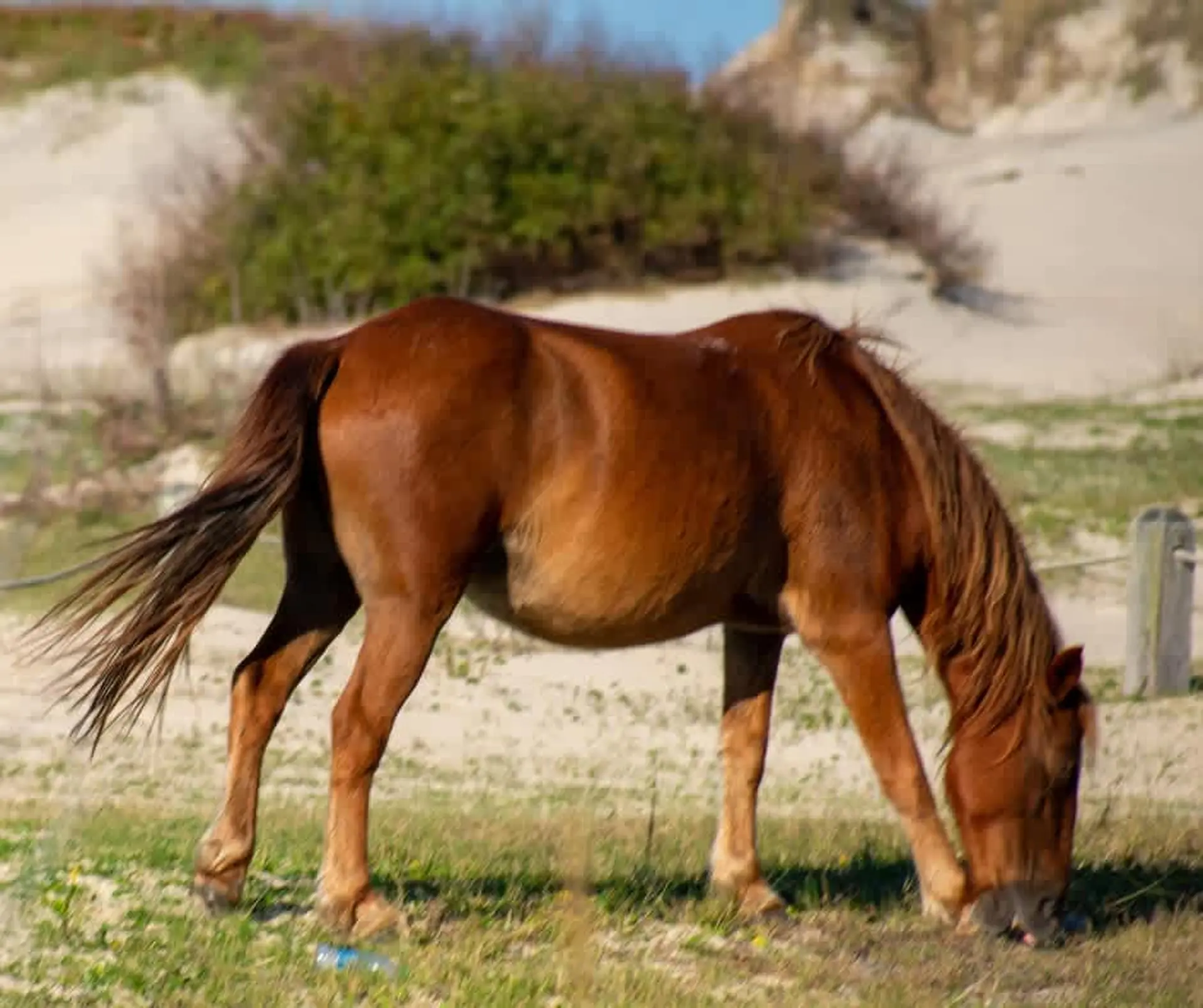 Saltwood Sanctuary - Image 2