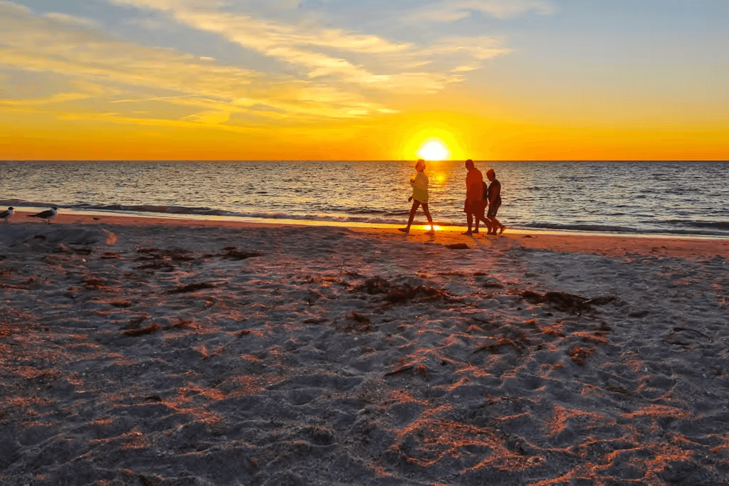 Sandy Foot Residence - Image 45