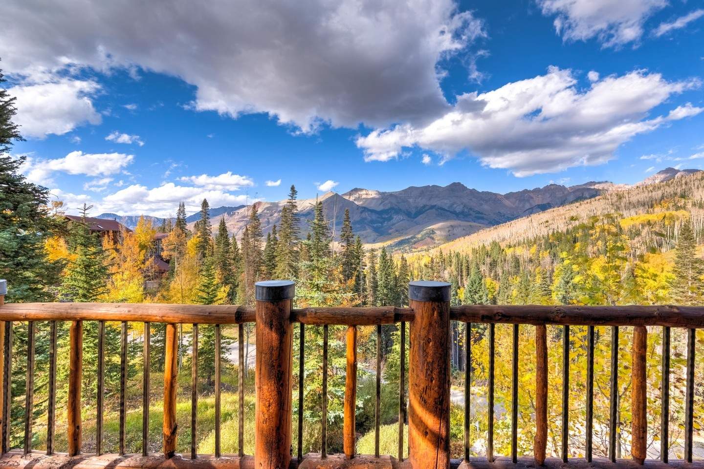 Dancing Bear - Image 23