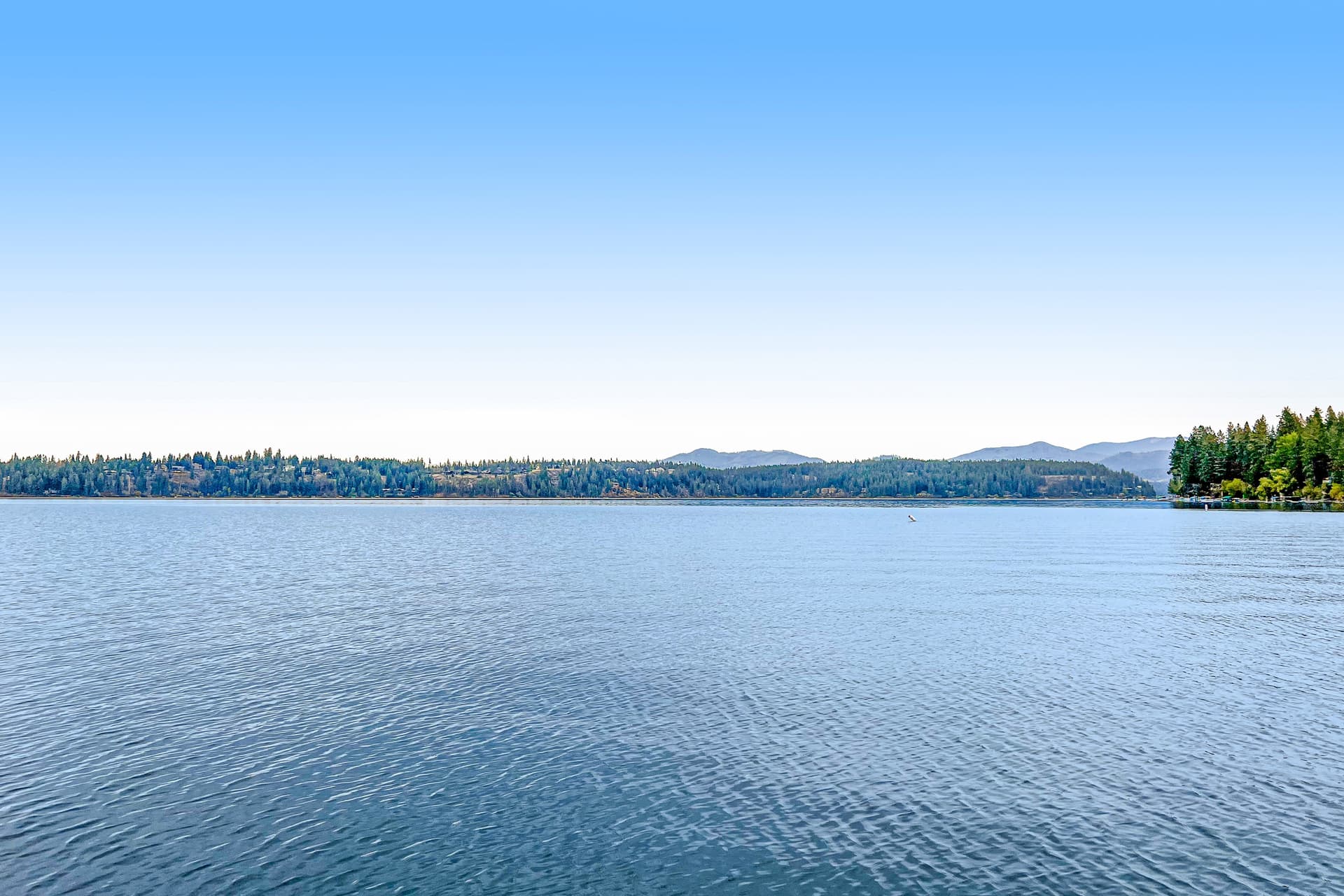 DeJa View - Image 56