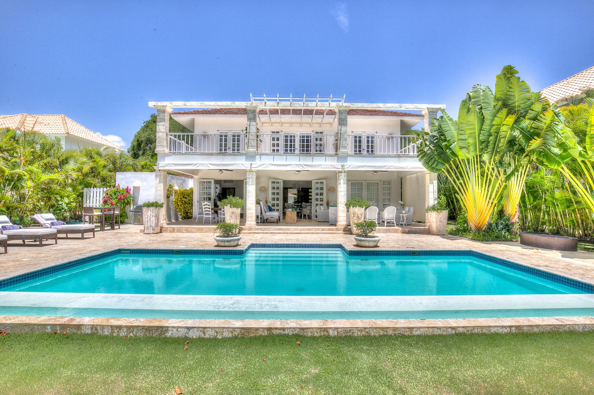 Tortuga Azul - Image 2