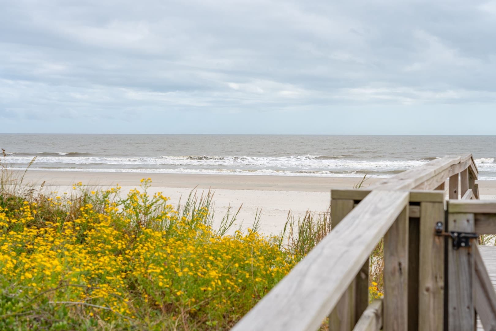 Endless Summer - Image 80