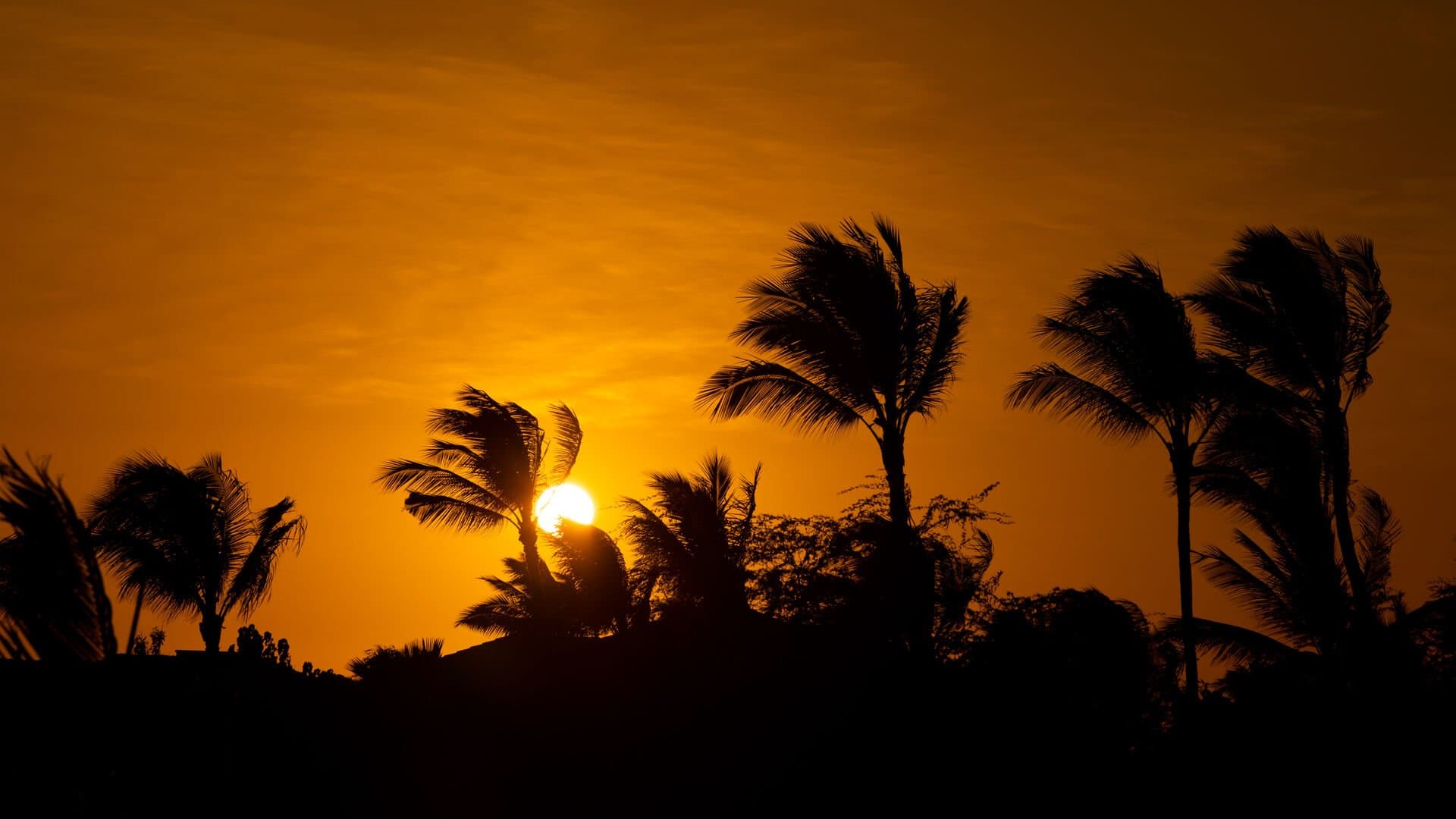 Daydream Villa - Image 61