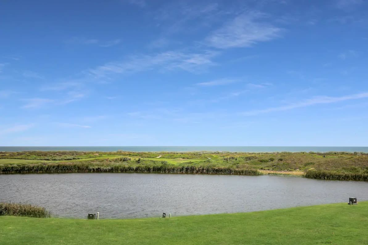 Spanish Dagger Serenity - Image 33