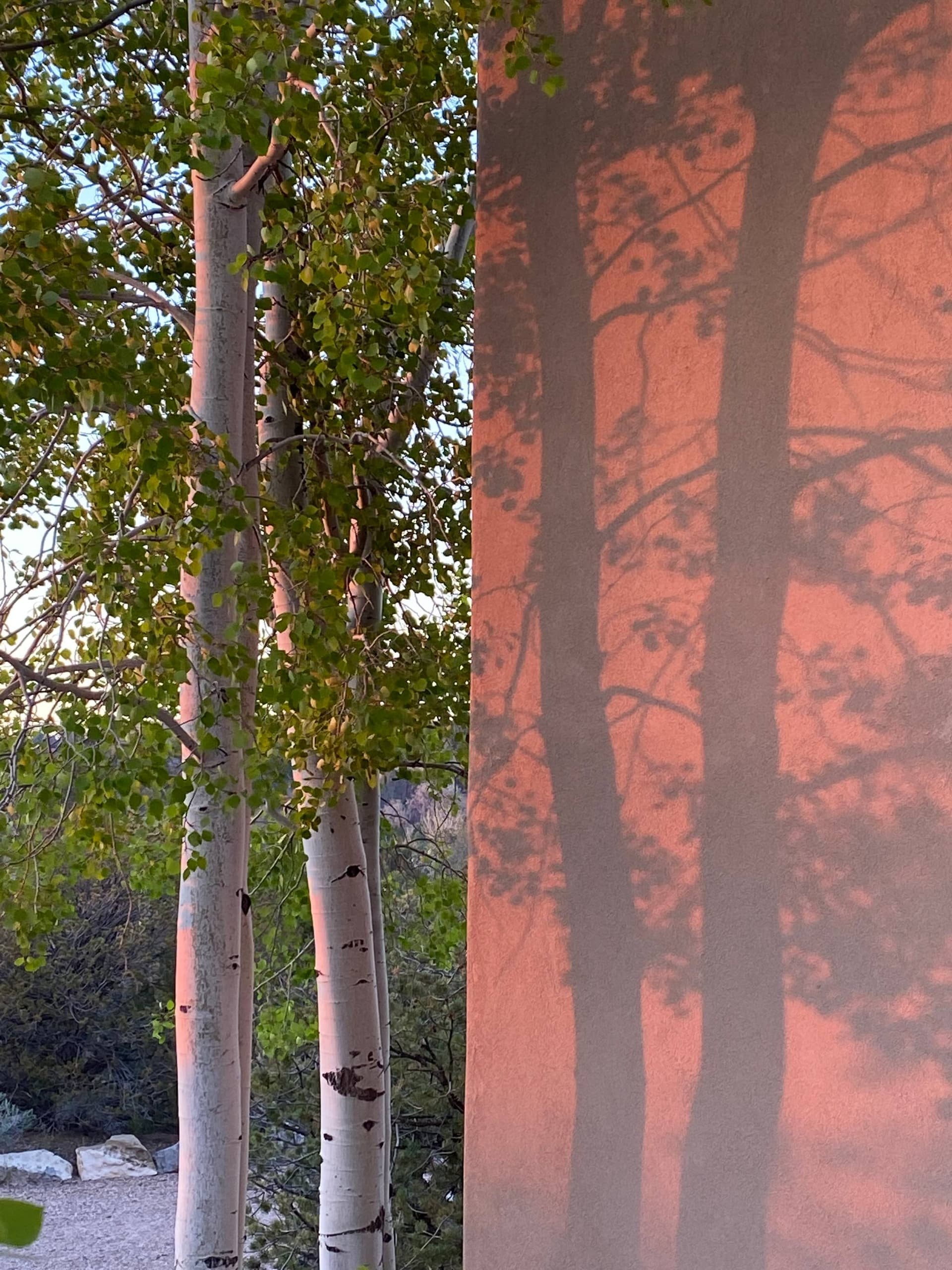 Vista Del Sol - Image 40