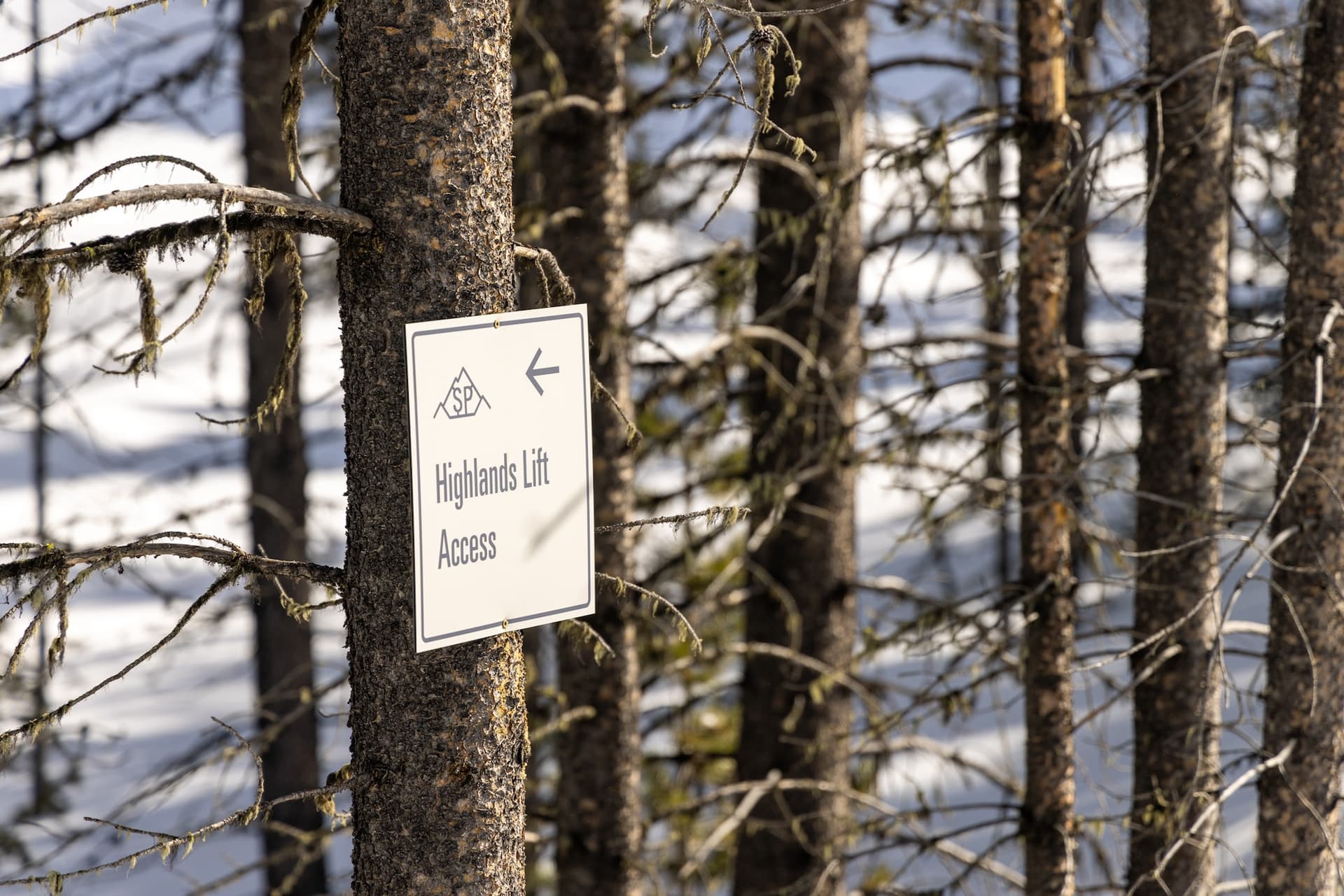 Highlands Cabin #36 - Image 58