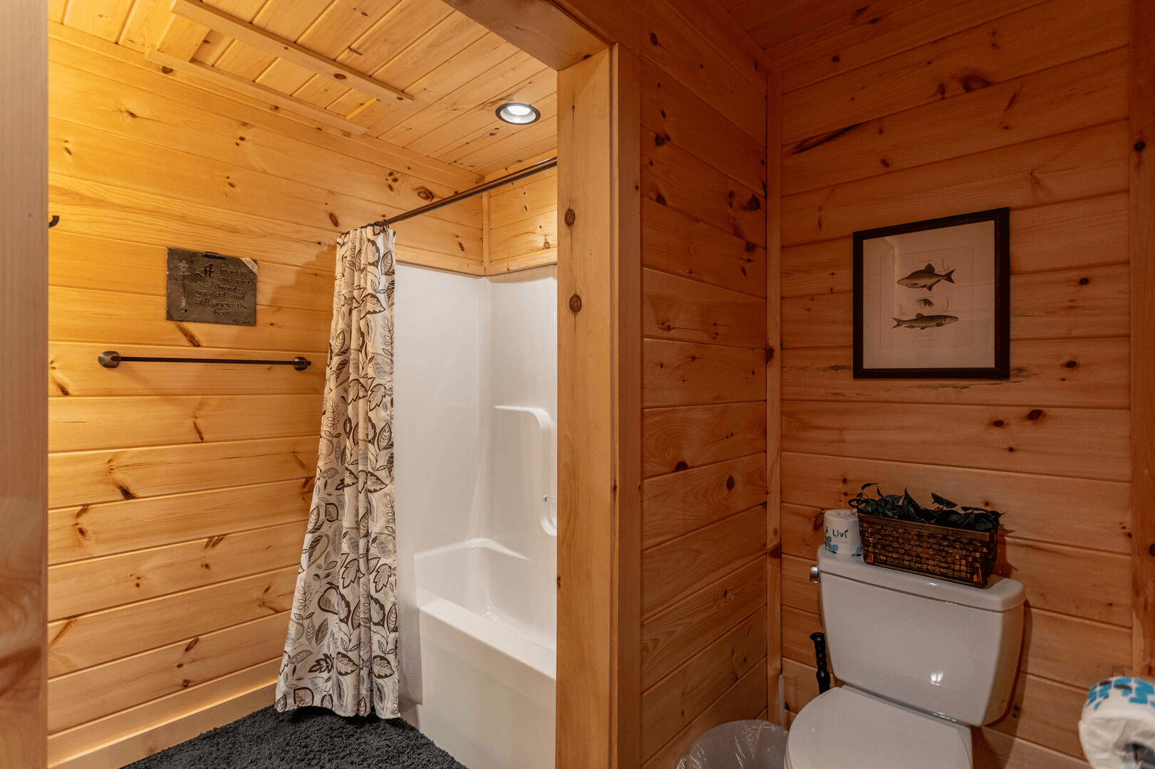 Bearadise at Blue Ridge - Image 26