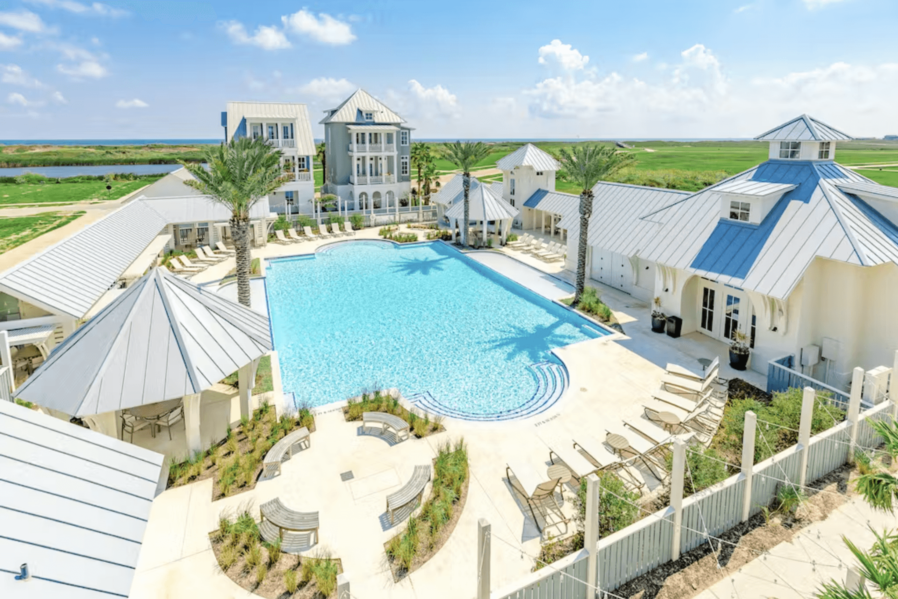 Wild Octopus Home - Image 30