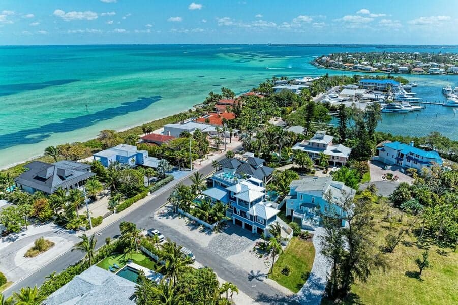 TipSea Turtle - Image 71