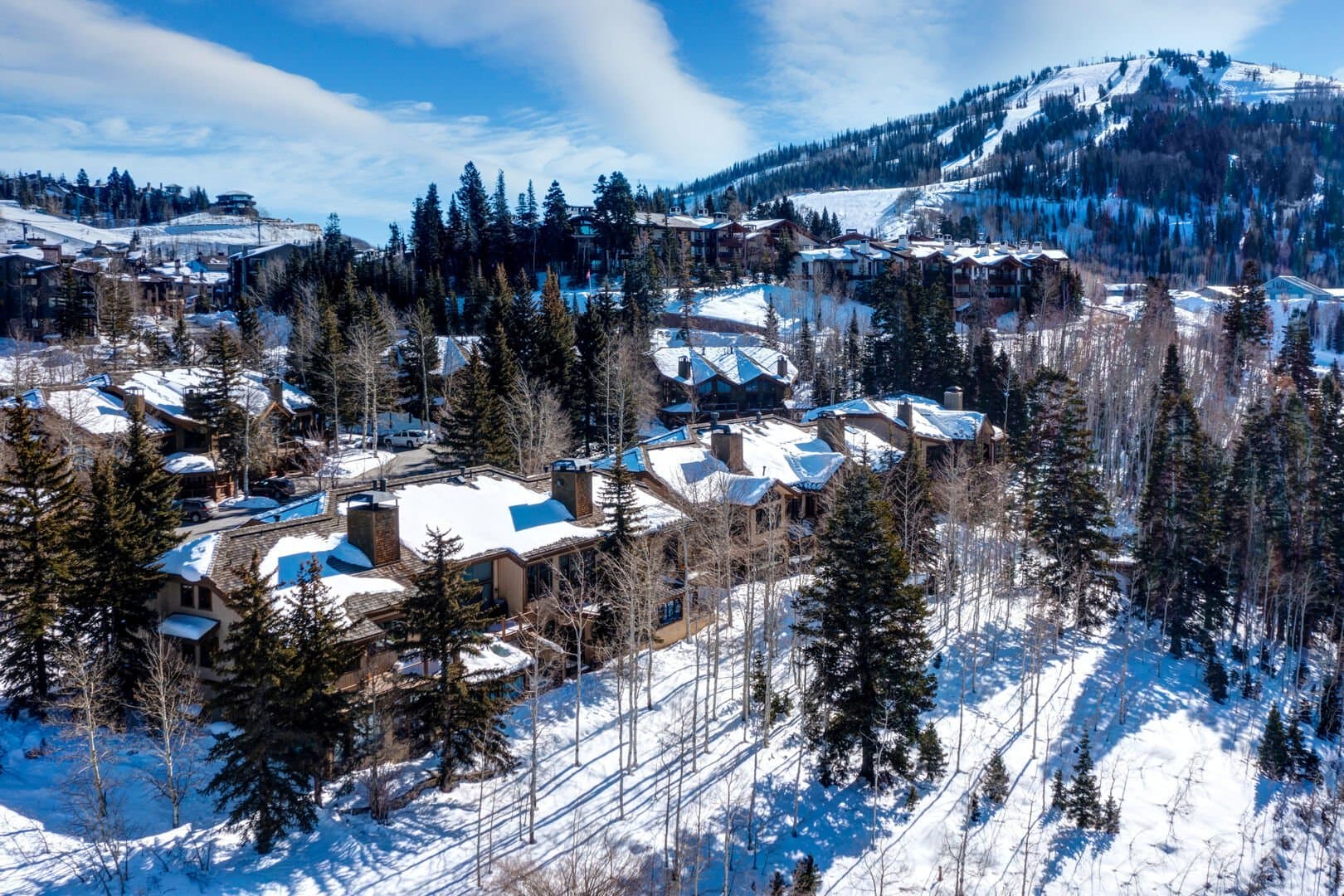 Belle Home - Image 47