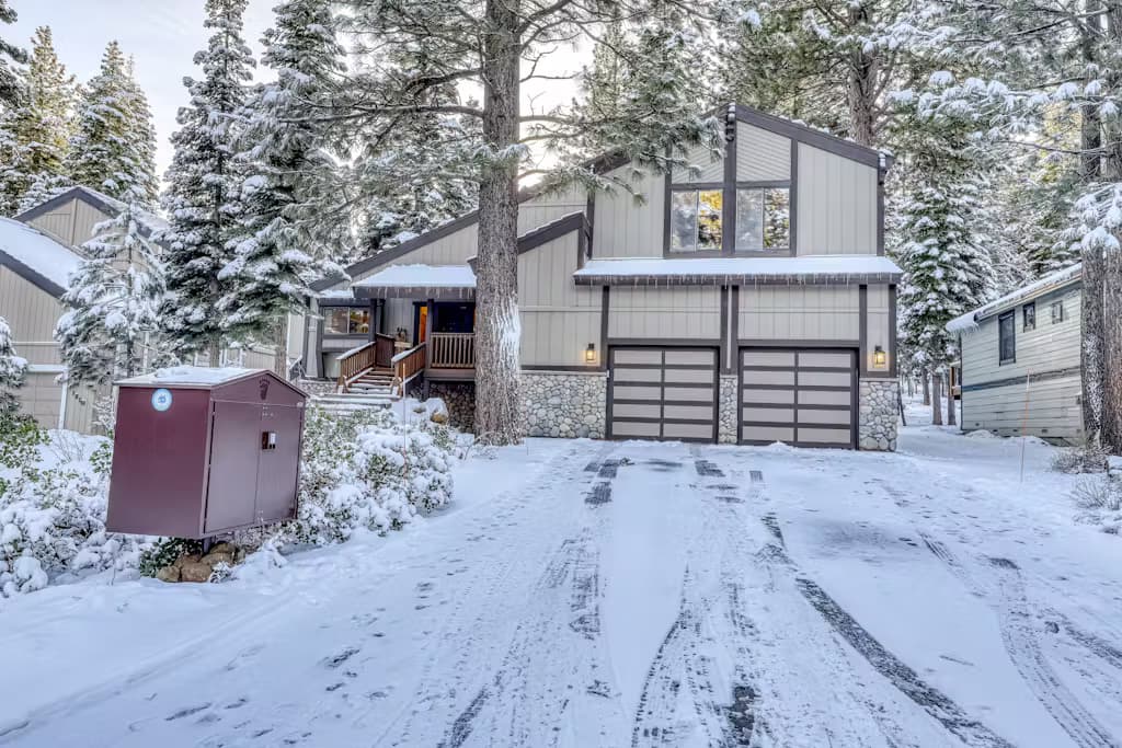 Gold Bear - Image 43